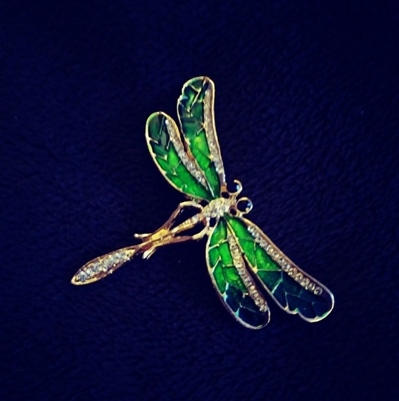 Jewelry - Dragonfly Brooch New in pkg
